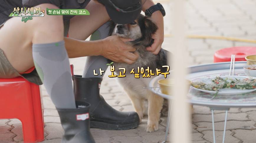 순해도 너무 순한 삼시세끼 복구.jpgif | 인스티즈