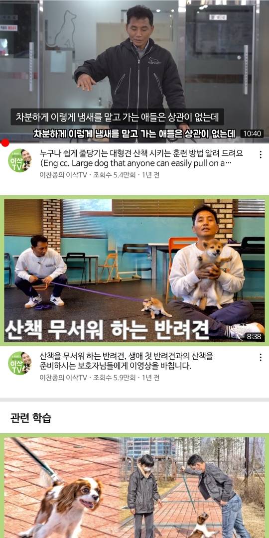 안 키워본 사람은 모르는......강아지 산책이 힘든 이유.....jpg | 인스티즈