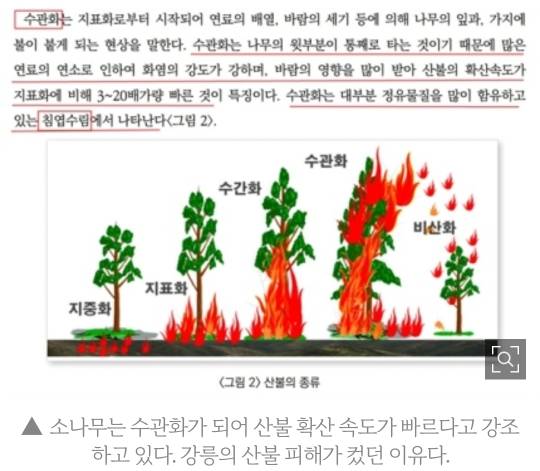 대형 산불 조장한 산림청... 의심스러운 먹이사슬 (산림청 고발 1탄, 설명 적어둠!) | 인스티즈