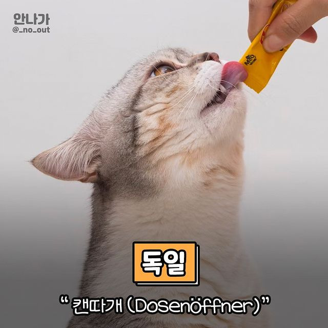 나라마다 고양이 집사를 부르는 말.jpg | 인스티즈