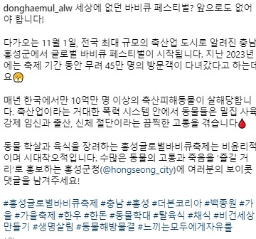 홍성군청 인스타그램 상황 | 인스티즈