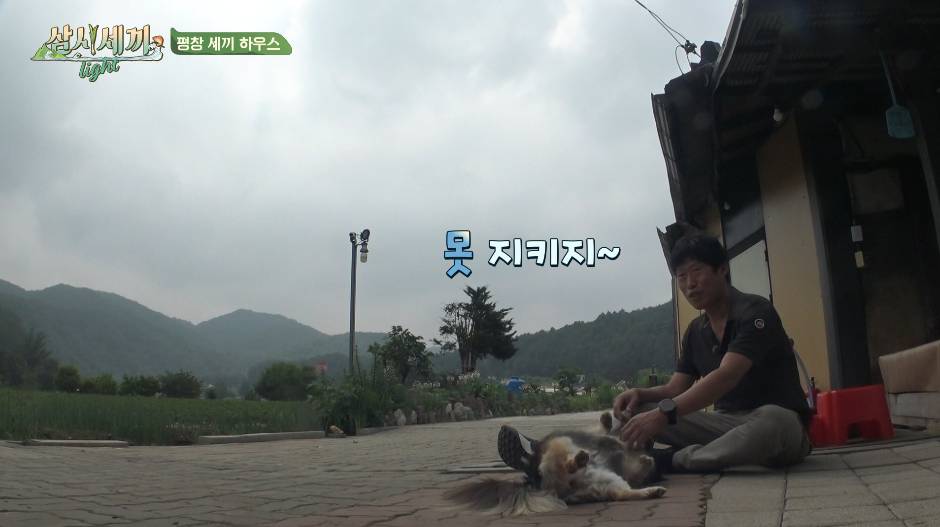 순해도 너무 순한 삼시세끼 복구.jpgif | 인스티즈