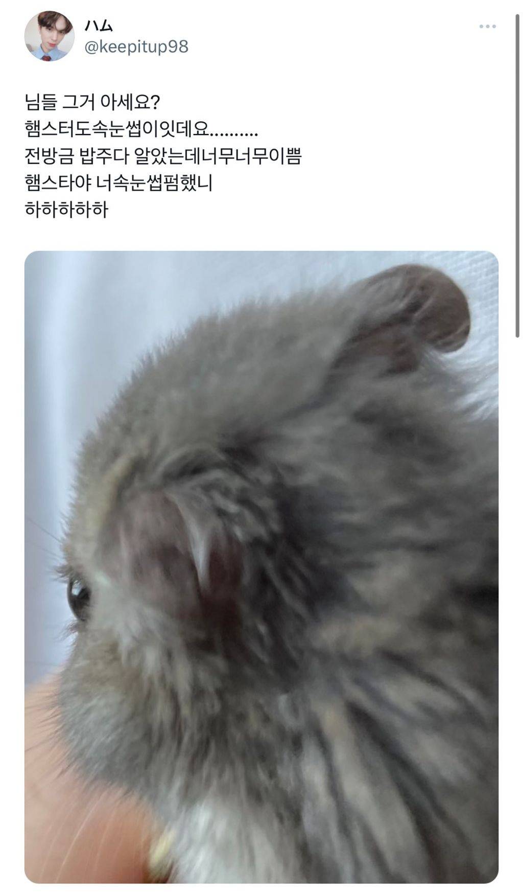 님들 그거 아세요?햄스터도속눈썹이 있대요... | 인스티즈