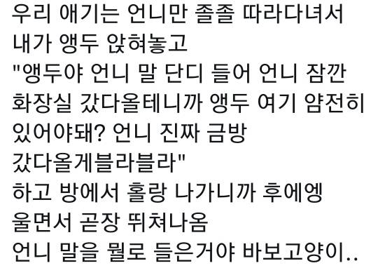 고양이는 사람 말을 알아듣는 거 같아 | 인스티즈