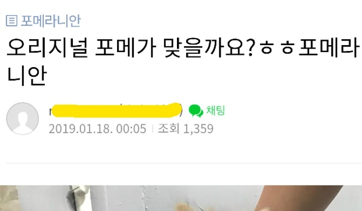 펫샵충 아묻따 패야하는 이유 (표현이 과격해? 펫샵 소비하는 현실이 더 과격 ㅇㅇ) | 인스티즈