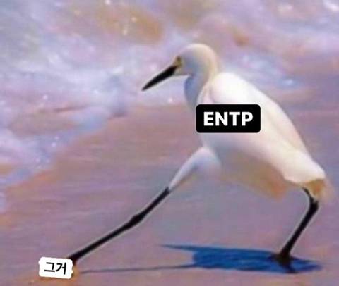 Entp 일반인치고 연예인같은 달글캡쳐 | 인스티즈