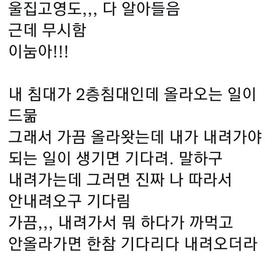 고양이는 사람 말을 알아듣는 거 같아 | 인스티즈