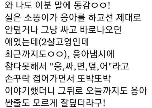 고양이는 사람 말을 알아듣는 거 같아 | 인스티즈