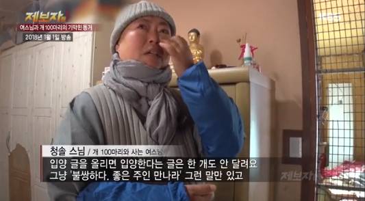 펫샵충 아묻따 패야하는 이유 (표현이 과격해? 펫샵 소비하는 현실이 더 과격 ㅇㅇ) | 인스티즈