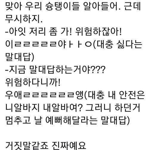 고양이는 사람 말을 알아듣는 거 같아 | 인스티즈