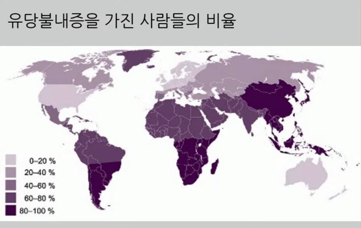 전세계 유당불내증 비율 | 인스티즈
