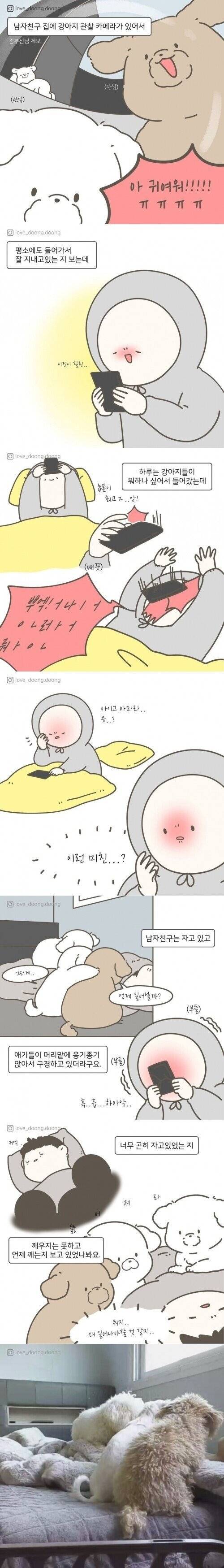 남자친구네 강아지 관찰카메라 후기 | 인스티즈