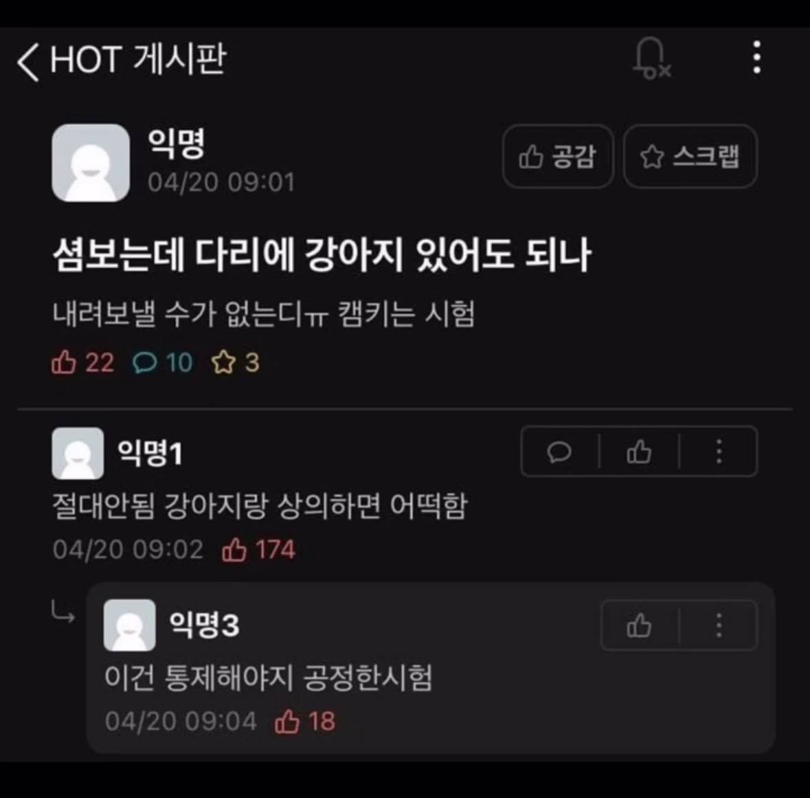 셤보는데 다리에 강아지 있어도 되냐 | 인스티즈