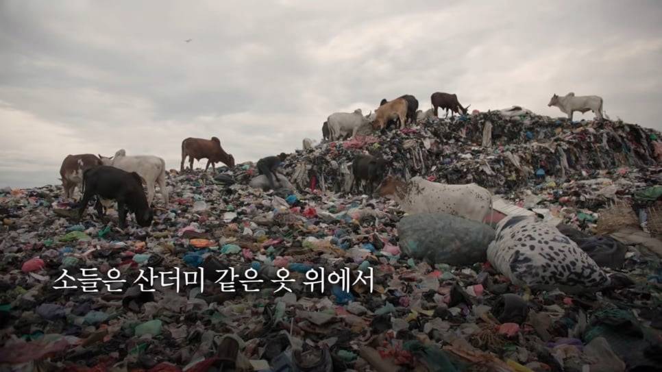 우리가 헌옷수거함에 버린 옷들이 향하는 곳 | 인스티즈