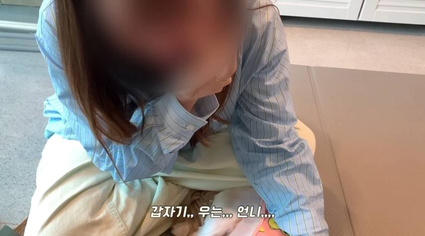 재롱이네 입양되고 뽀송 강쥐가 된 담비.jpgif | 인스티즈