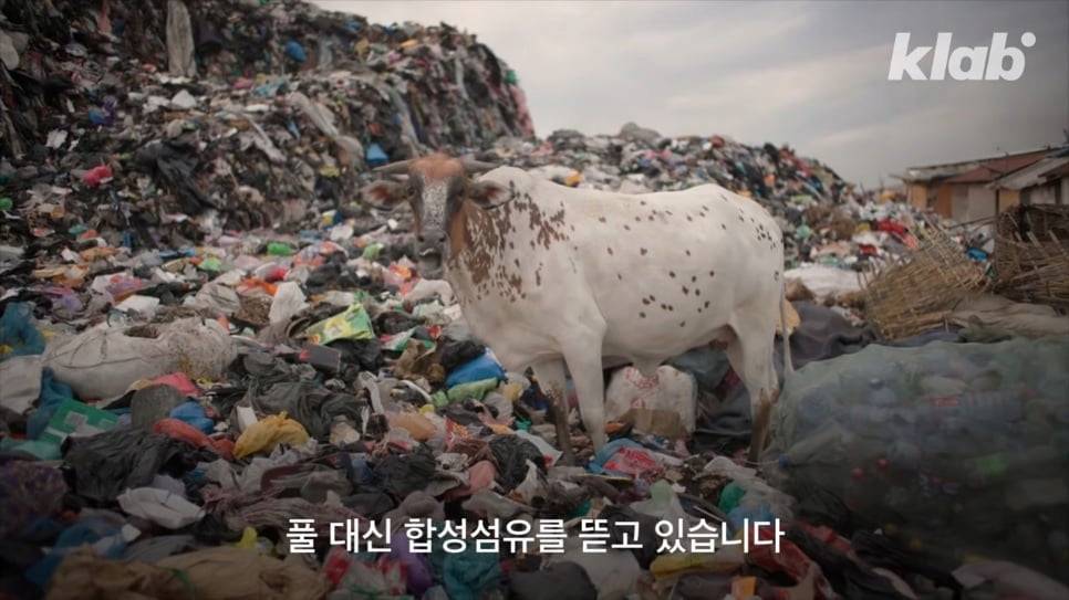 우리가 헌옷수거함에 버린 옷들이 향하는 곳 | 인스티즈