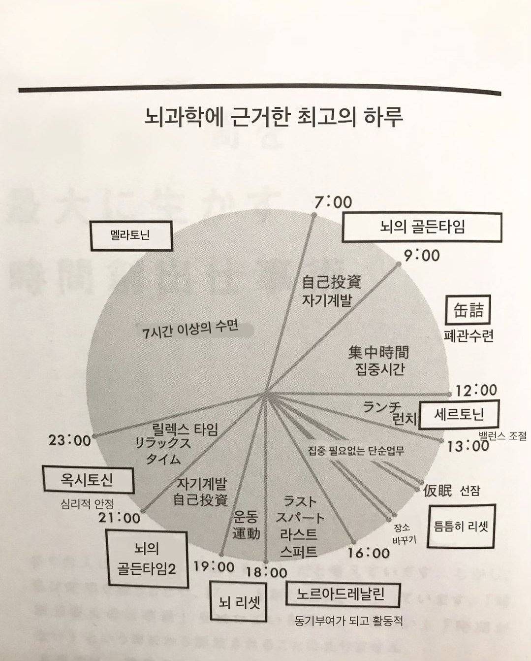 뇌과학에 근거한 하루 시간 활용 | 인스티즈