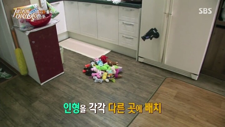 인형 홀릭견 뚜뚜.jpg | 인스티즈