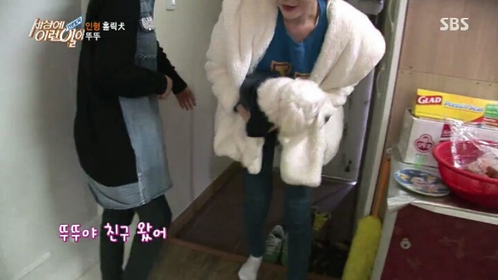 인형 홀릭견 뚜뚜.jpg | 인스티즈
