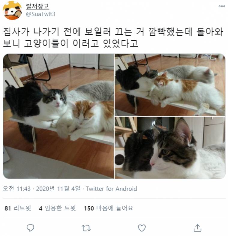 보일러 끄고 나가는 걸 깜박한 집사 | 인스티즈