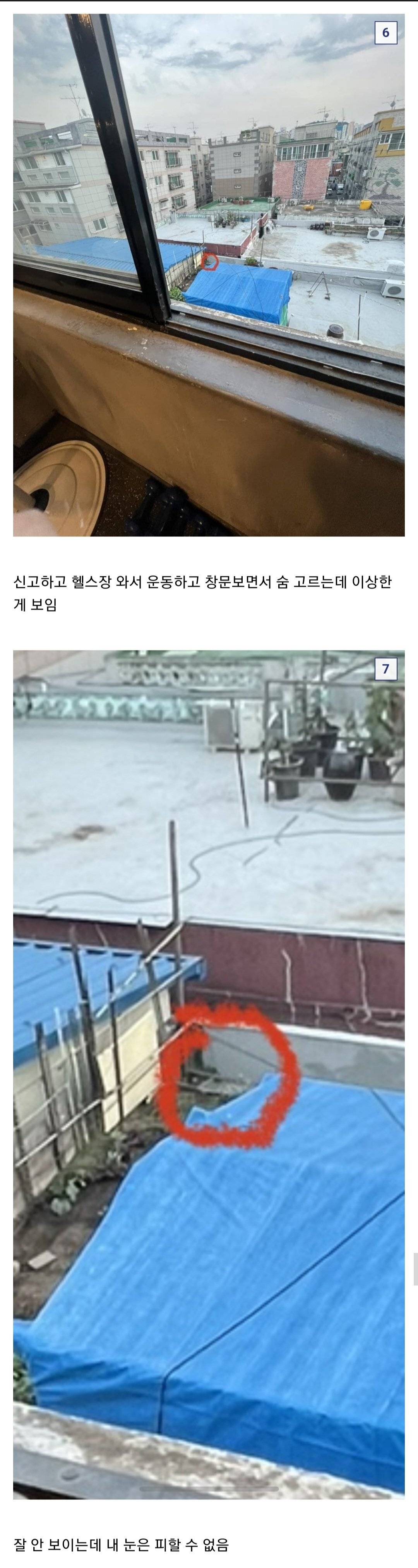 하루에 2번이나 양귀비 발견한 식물갤러.jpg | 인스티즈