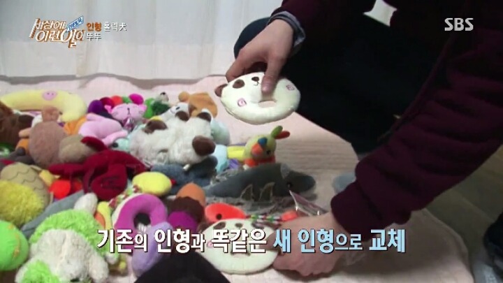 인형 홀릭견 뚜뚜.jpg | 인스티즈