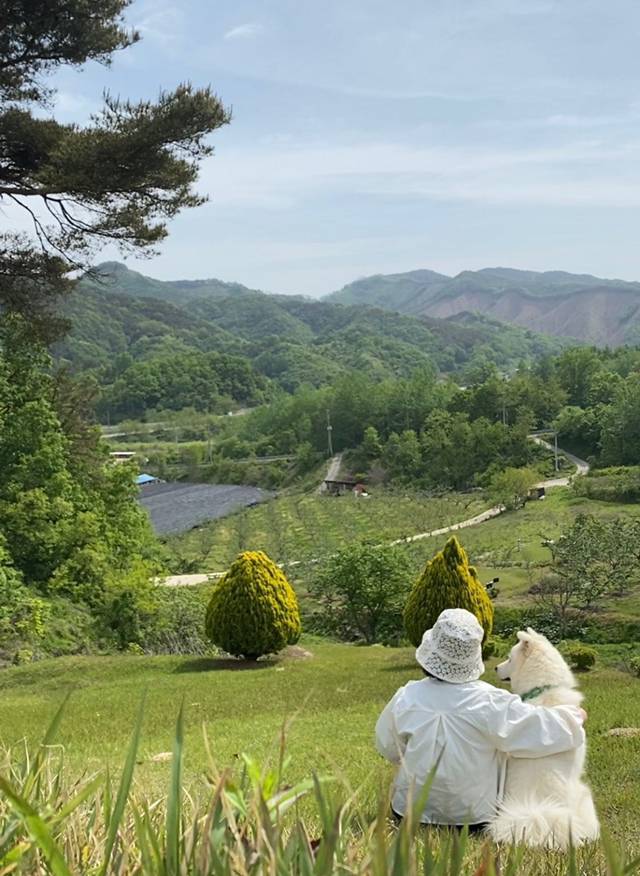 충북 옥천 시골 여름풍경.jpg (힐링글) | 인스티즈