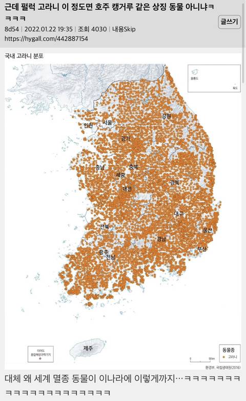 근데 한국 고라니 이 정도면 호주 캥거루 같은 상징 동물 아니냐 | 인스티즈