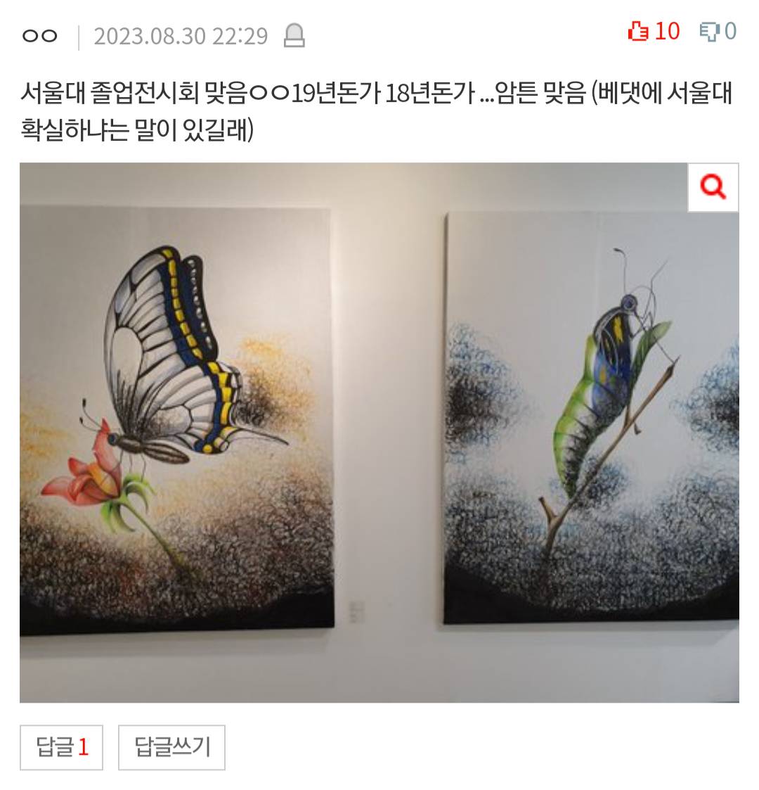 [네이트판] 근데 서울대 미대는 그림실력 안 보나 | 인스티즈