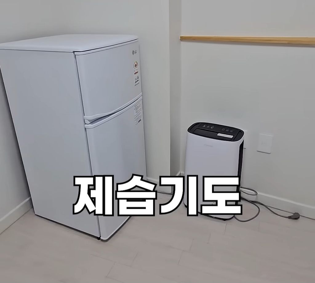 서울 2000/78 인덕션, 냉장고, 침대 옵션 복층 원룸 | 인스티즈