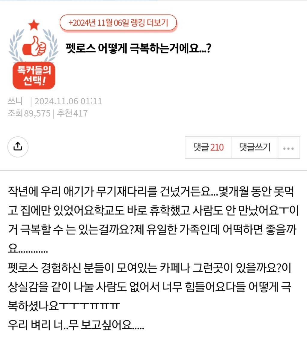 펫로스 어떻게 극복하는거에요...? | 인스티즈