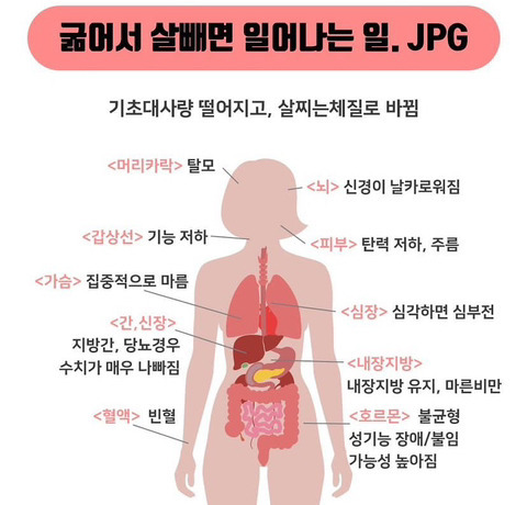 굶어서 살빼면 일어나는 일 | 인스티즈