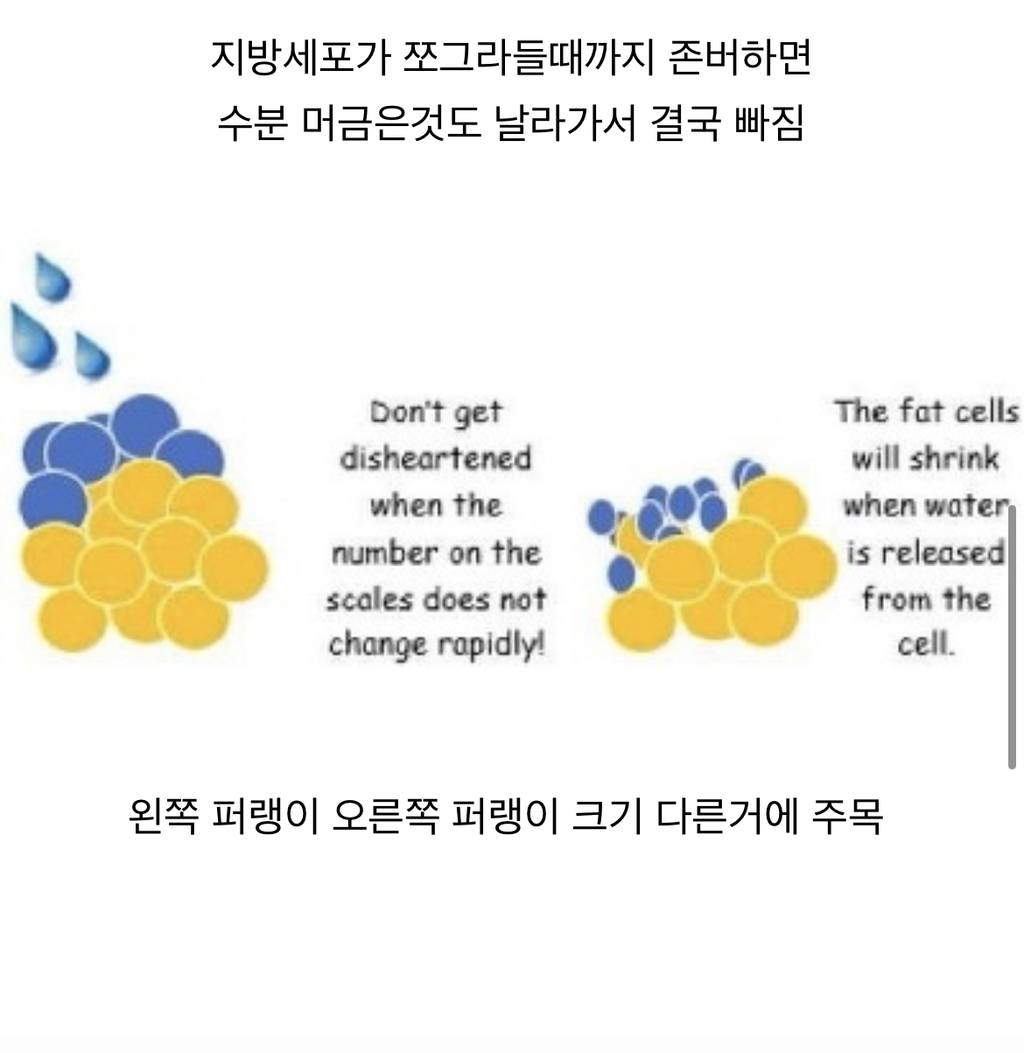 다이어트 하는데 몸무게가 오히려 늘어 | 인스티즈