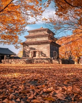 의외로 봐도 모르는 사람이 많을 것 같은 여행지 사진 공통점......jpg | 인스티즈