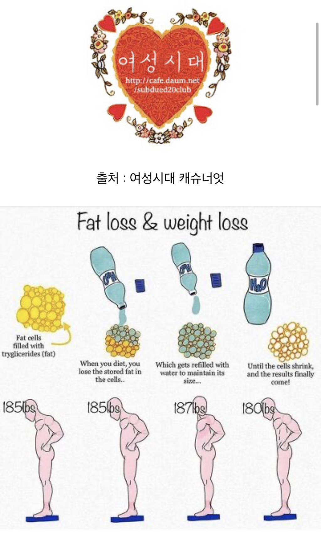 다이어트 하는데 몸무게가 오히려 늘어 | 인스티즈