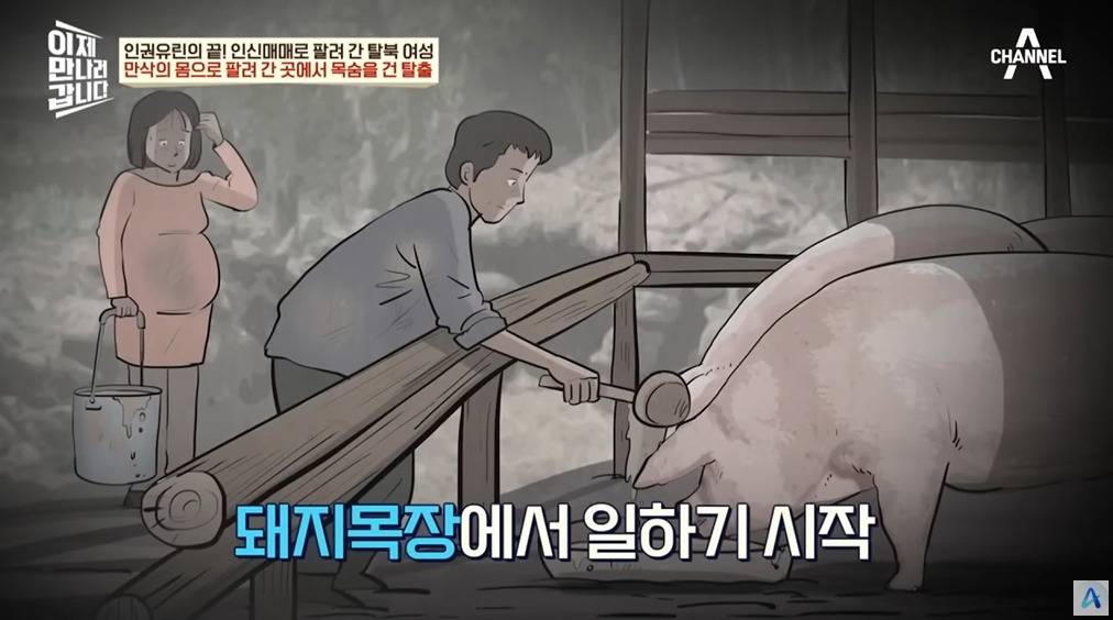 만삭 임산부가 탈북한 이유 | 인스티즈