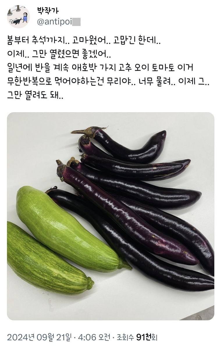 텃밭 또는 주말농장해본 사람만 아는 고통 | 인스티즈