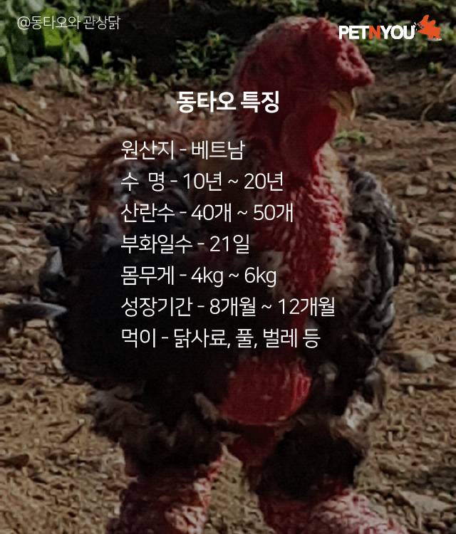 베트남 부자들의 별미...JPG | 인스티즈