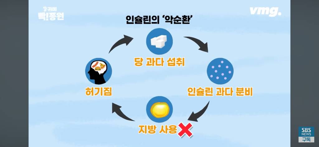 10년동안 살 못 빼던 기자가 요요없이 -40kg 뺀 방법 | 인스티즈