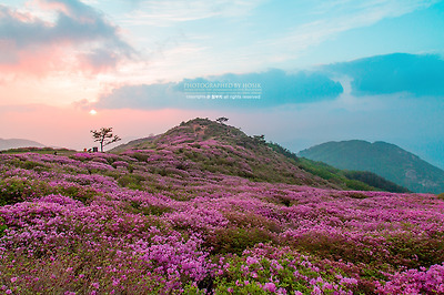 의외로 봐도 모르는 사람이 많을 것 같은 여행지 사진 공통점......jpg | 인스티즈