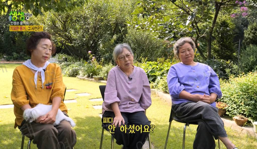 비혼여성의 로망 그자체인 생생정보통 세 할머니 | 인스티즈