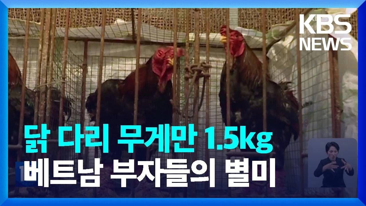 베트남 부자들의 별미...JPG | 인스티즈