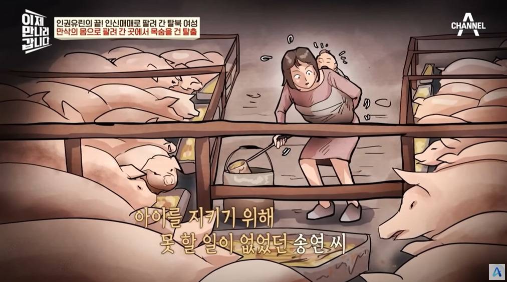 만삭 임산부가 탈북한 이유 | 인스티즈