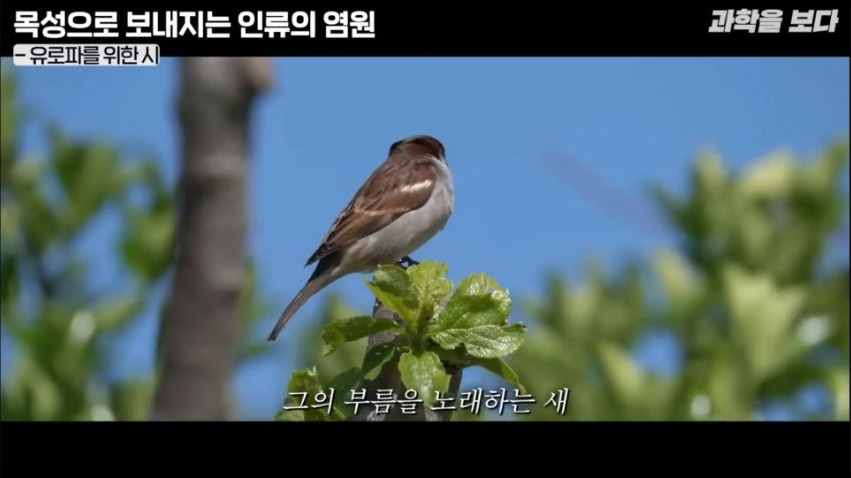 과학 기술의 시작과 끝은 결국 문학에서 탄생한다 | 인스티즈