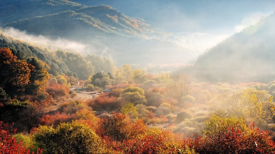 의외로 봐도 모르는 사람이 많을 것 같은 여행지 사진 공통점......jpg | 인스티즈