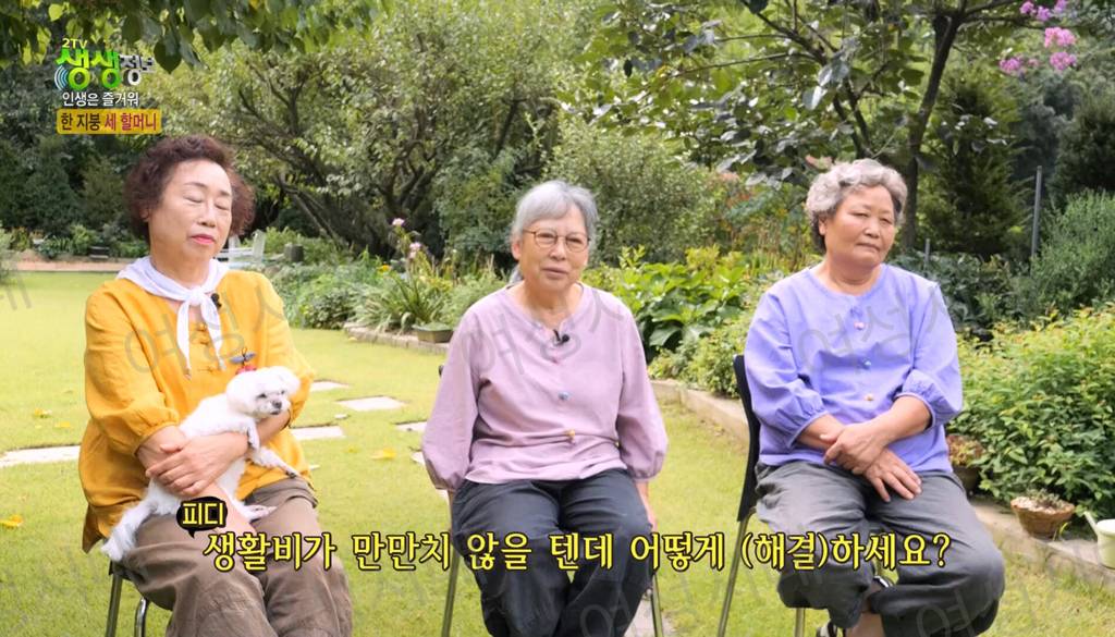 비혼여성의 로망 그자체인 생생정보통 세 할머니 | 인스티즈