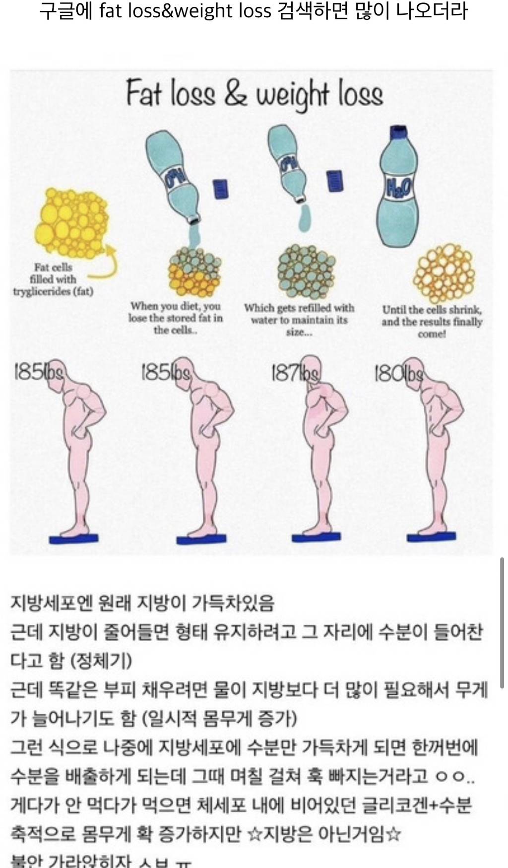 다이어트 하는데 몸무게가 오히려 늘어 | 인스티즈