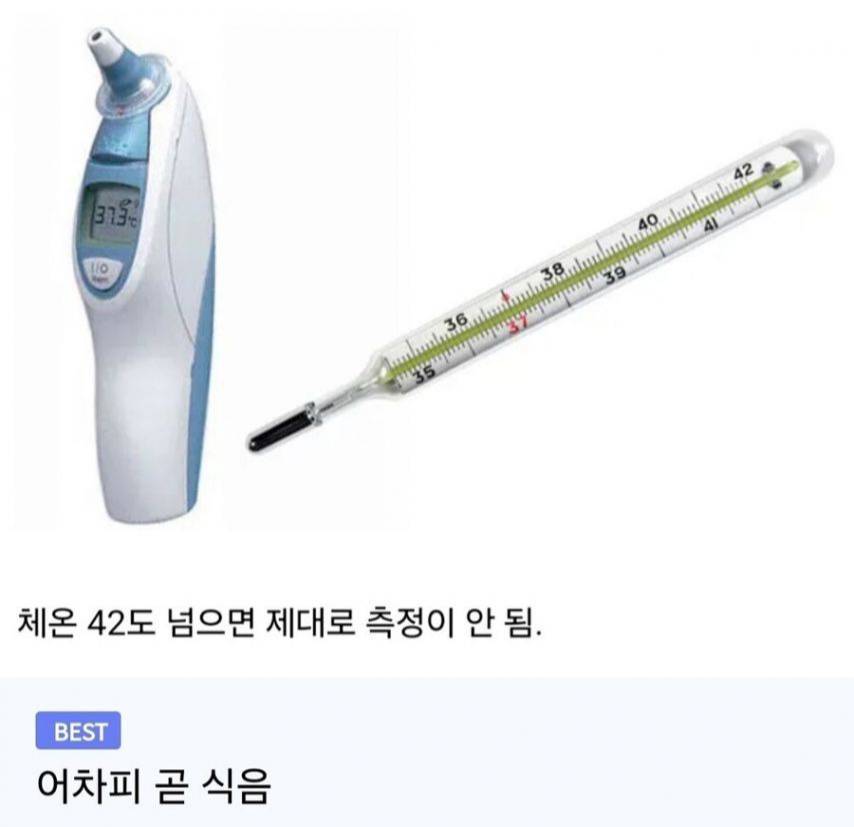 시중에 파는 체온계가 42도까지밖에 없는 이유 | 인스티즈