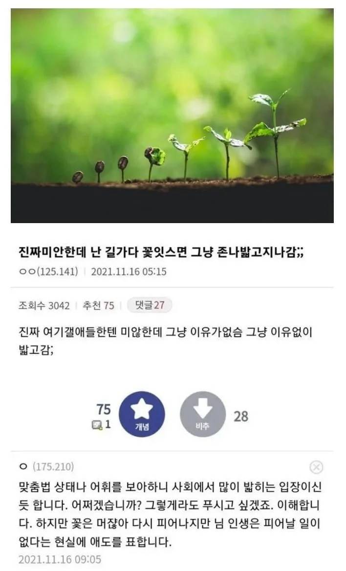 욕 없이 사람 혼수상태 만드는 식물갤.jpg | 인스티즈