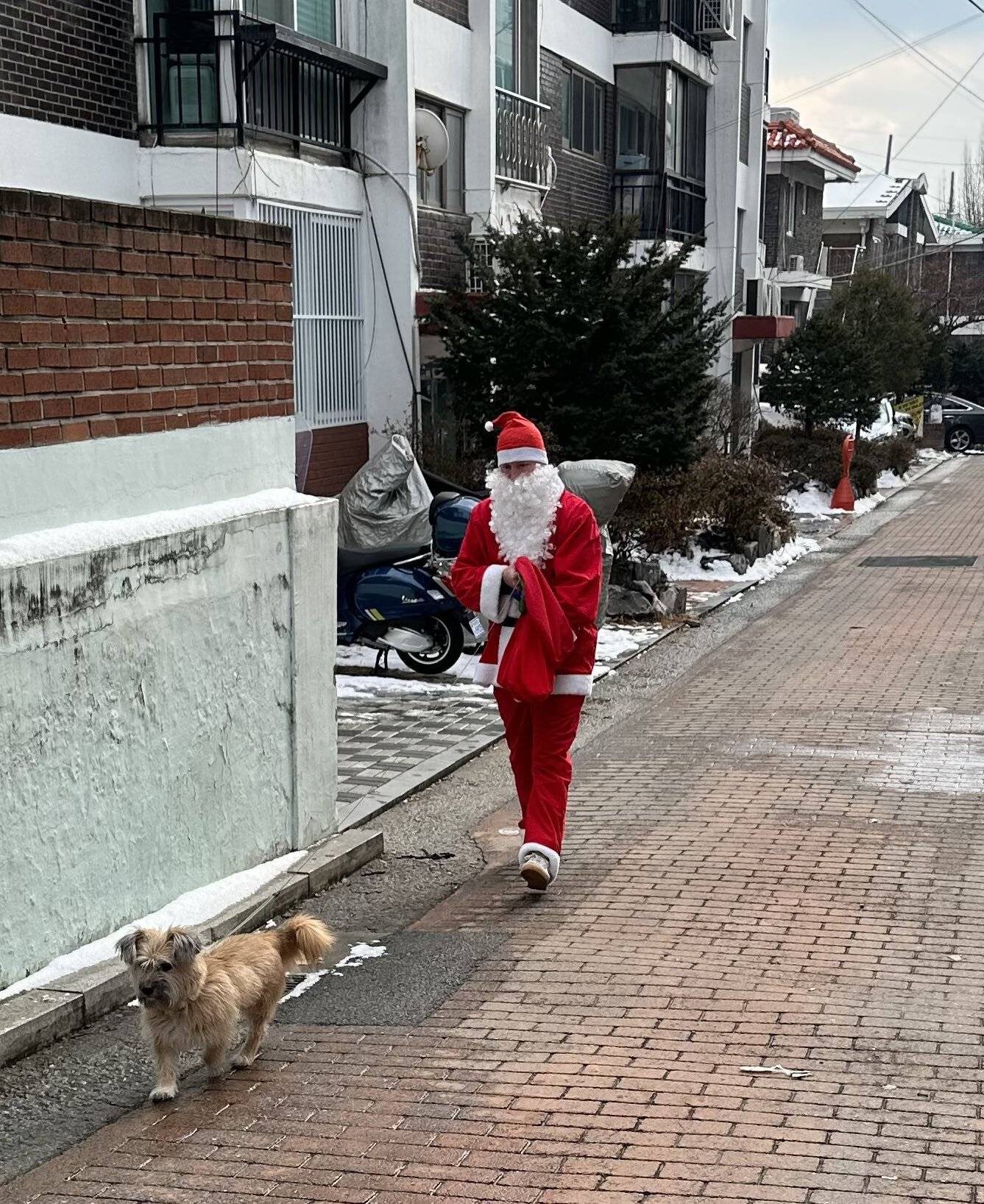 동네 산책길에 산타 할아버지랑 루돌프 만나서 사탕 받음🎄 | 인스티즈